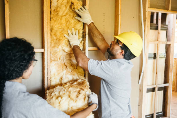 Best Insulation Contractor Near Me  in Sherrelwood, CO