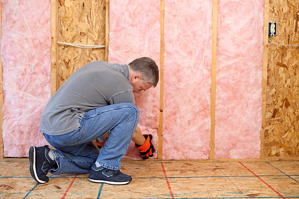 Best Commercial Insulation Contractor  in Sherrelwood, CO