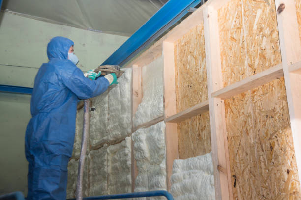 Best Insulation Repair Services  in Sherrelwood, CO