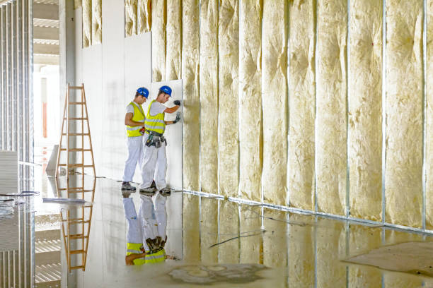 Best Insulation Replacement Services  in Sherrelwood, CO